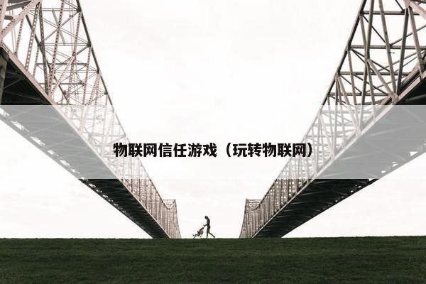 物联网信任游戏（玩转物联网）