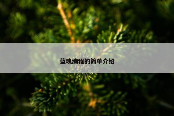 蓝魂编程的简单介绍