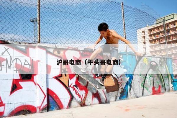 沪哥电商（平头哥电商）