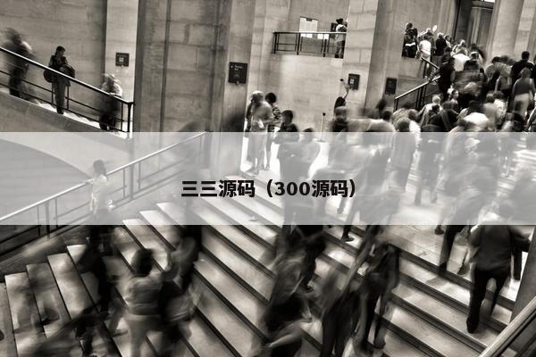 三三源码（300源码）
