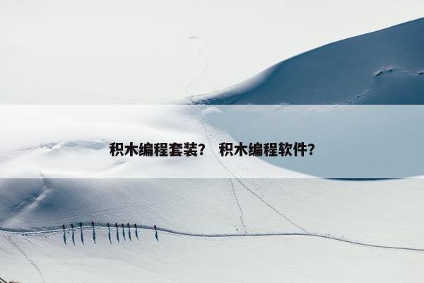 积木编程套装？ 积木编程软件？