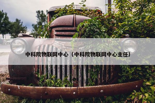 中科院物联网中心（中科院物联网中心主任）