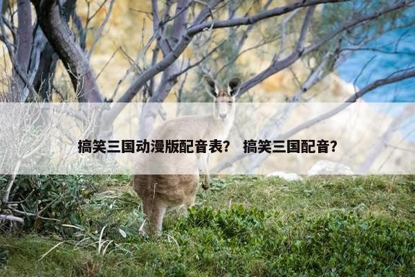 搞笑三国动漫版配音表？ 搞笑三国配音？