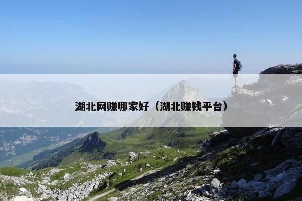 湖北网赚哪家好（湖北赚钱平台）