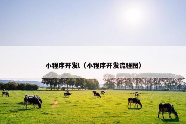 小程序开发l（小程序开发流程图）