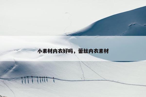 小素材内衣好吗，蕾丝内衣素材