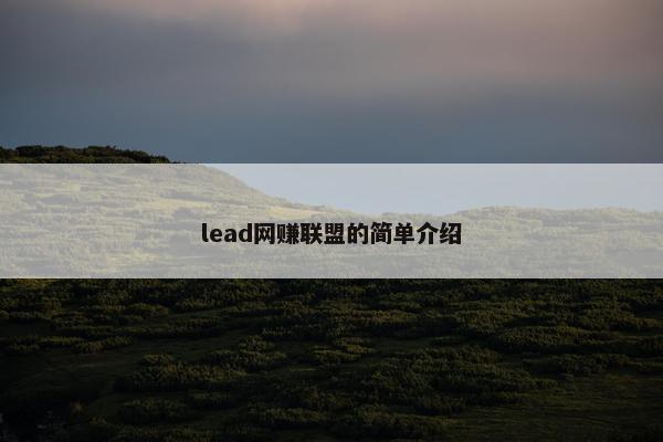 lead网赚联盟的简单介绍