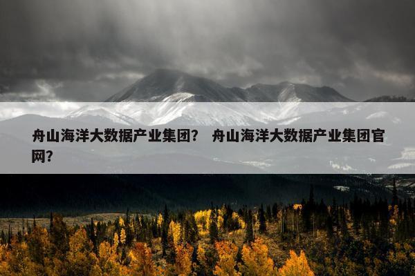 舟山海洋大数据产业集团？ 舟山海洋大数据产业集团官网？