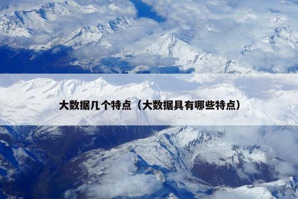 大数据几个特点（大数据具有哪些特点）