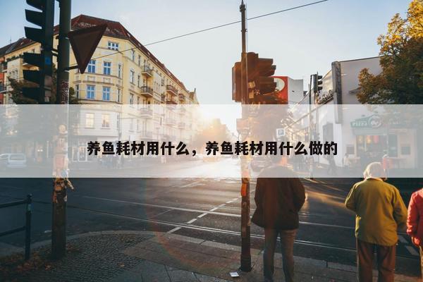 养鱼耗材用什么，养鱼耗材用什么做的