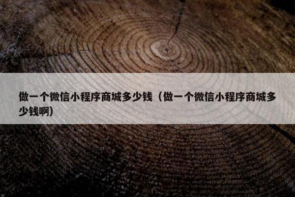 做一个微信小程序商城多少钱（做一个微信小程序商城多少钱啊）
