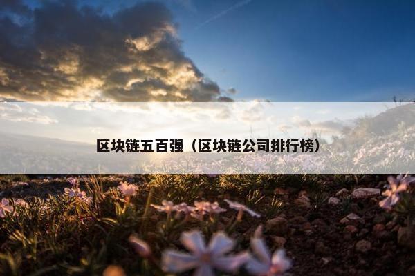 区块链五百强（区块链公司排行榜）