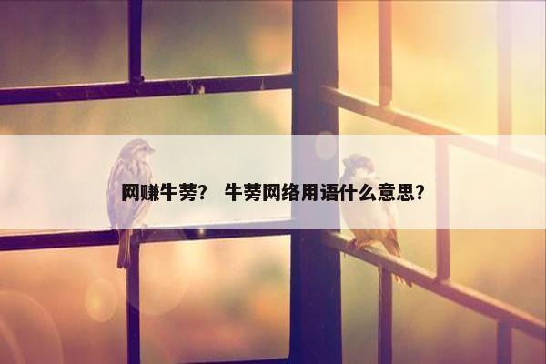 网赚牛蒡？ 牛蒡网络用语什么意思？