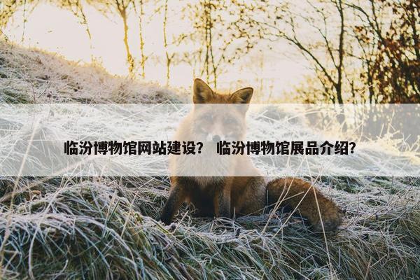 临汾博物馆网站建设？ 临汾博物馆展品介绍？