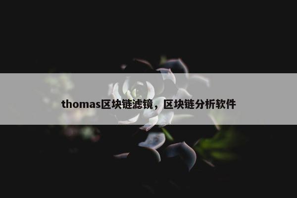 thomas区块链滤镜，区块链分析软件