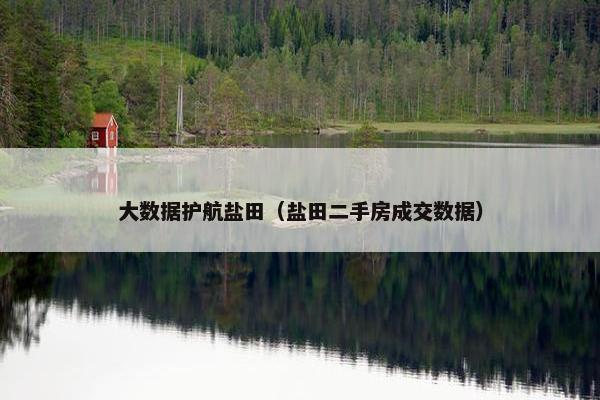 大数据护航盐田（盐田二手房成交数据）