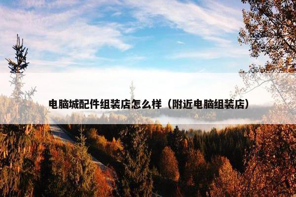 电脑城配件组装店怎么样（附近电脑组装店）