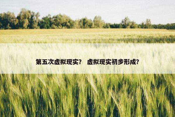 第五次虚拟现实？ 虚拟现实初步形成？