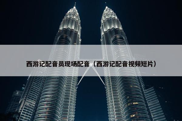 西游记配音员现场配音（西游记配音视频短片）