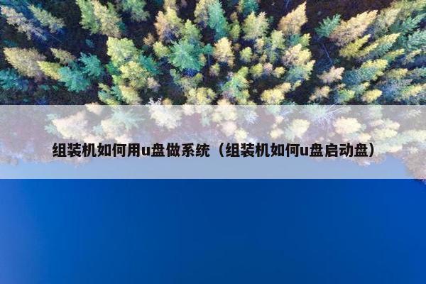 组装机如何用u盘做系统（组装机如何u盘启动盘）