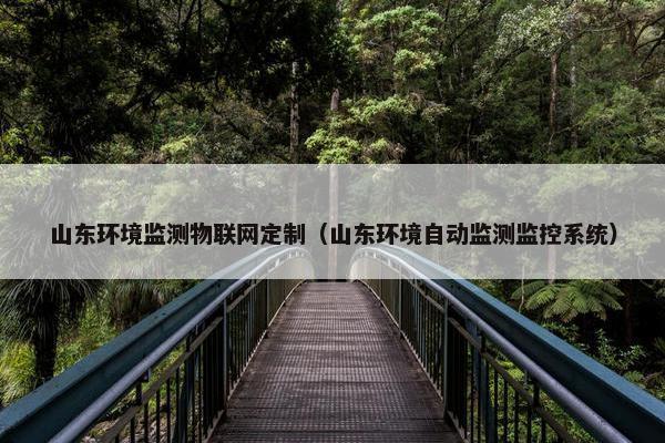 山东环境监测物联网定制（山东环境自动监测监控系统）