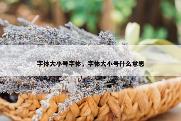 字体大小号字体，字体大小号什么意思