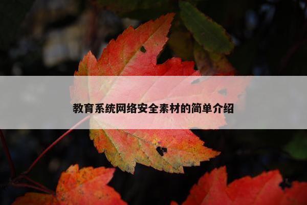 教育系统网络安全素材的简单介绍