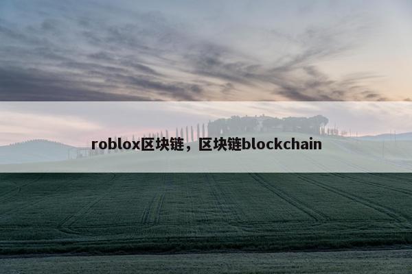 roblox区块链，区块链blockchain