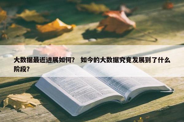 大数据最近进展如何？ 如今的大数据究竟发展到了什么阶段？