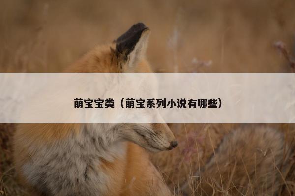 萌宝宝类（萌宝系列小说有哪些）