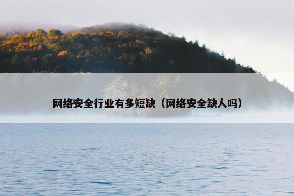 网络安全行业有多短缺（网络安全缺人吗）
