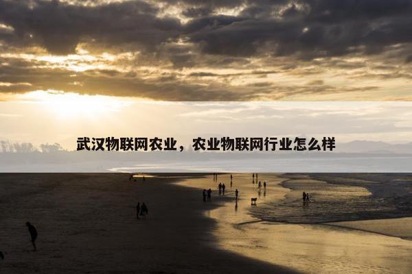 武汉物联网农业，农业物联网行业怎么样
