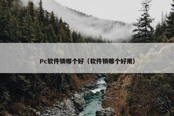 Pc软件锁哪个好（软件锁哪个好用）