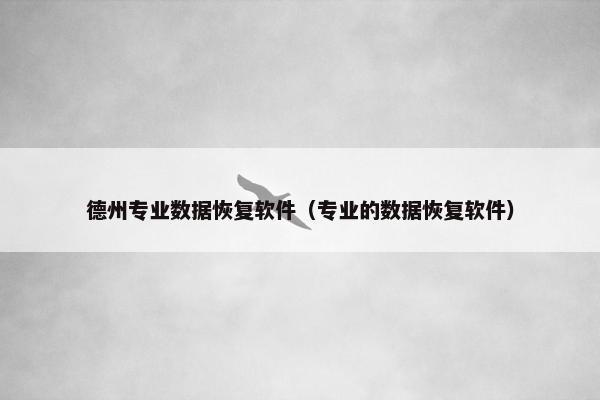 德州专业数据恢复软件（专业的数据恢复软件）