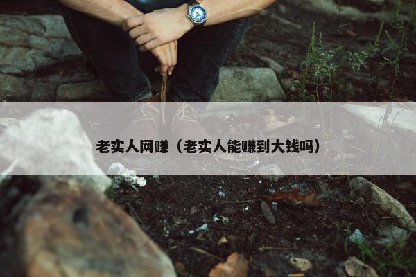 老实人网赚（老实人能赚到大钱吗）