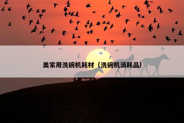 美家用洗碗机耗材（洗碗机消耗品）