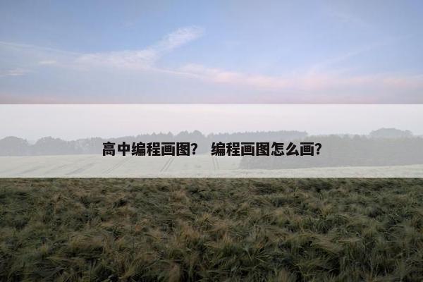高中编程画图？ 编程画图怎么画？