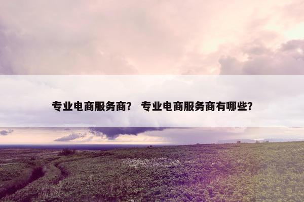 专业电商服务商？ 专业电商服务商有哪些？