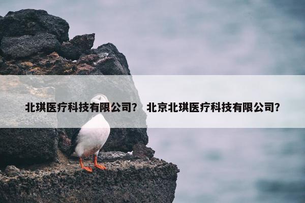 北琪医疗科技有限公司？ 北京北琪医疗科技有限公司？