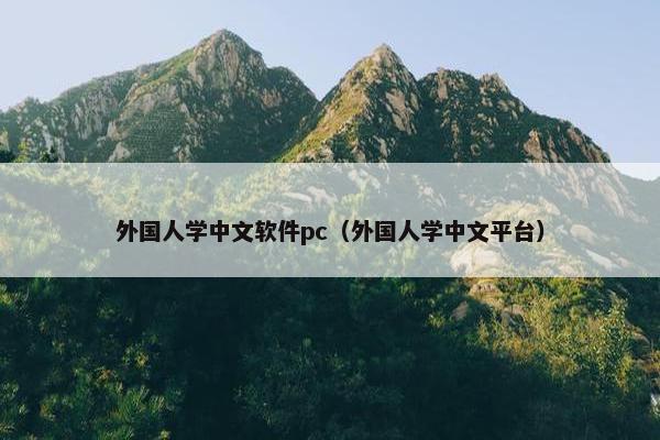 外国人学中文软件pc（外国人学中文平台）