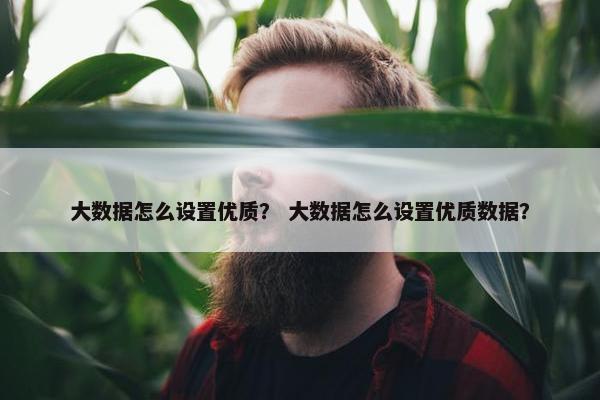 大数据怎么设置优质？ 大数据怎么设置优质数据？