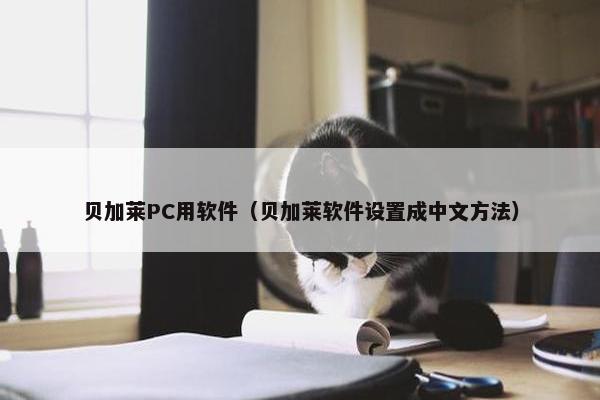 贝加莱PC用软件（贝加莱软件设置成中文方法）