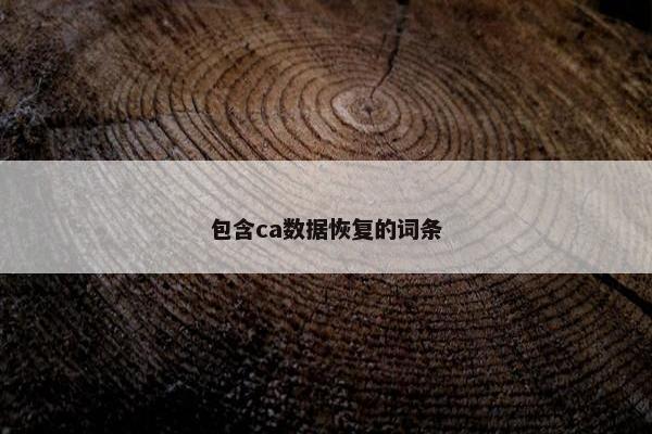 包含ca数据恢复的词条