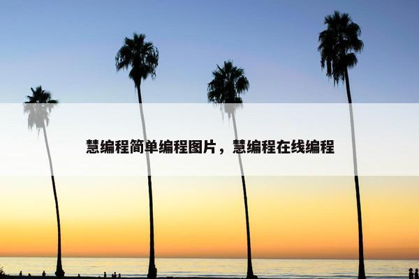 慧编程简单编程图片，慧编程在线编程