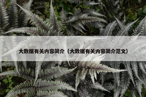 大数据有关内容简介（大数据有关内容简介范文）