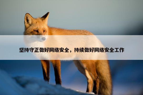 坚持守正做好网络安全，持续做好网络安全工作