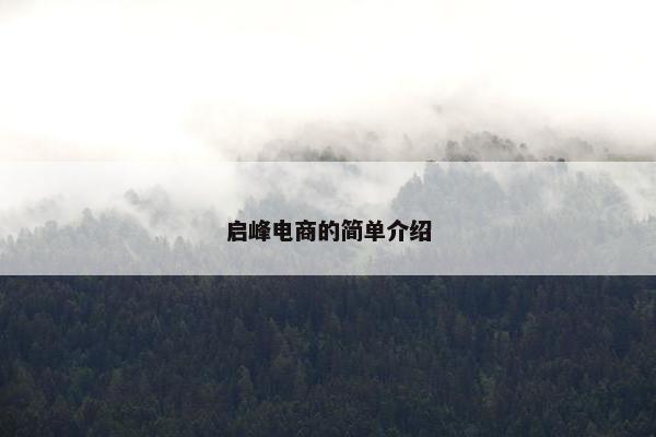 启峰电商的简单介绍