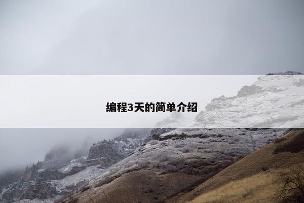 编程3天的简单介绍