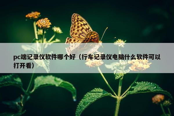 pc端记录仪软件哪个好（行车记录仪电脑什么软件可以打开看）