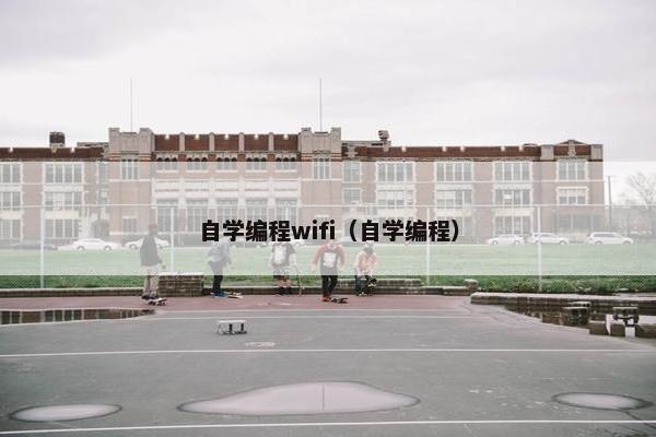 自学编程wifi（自学编程）